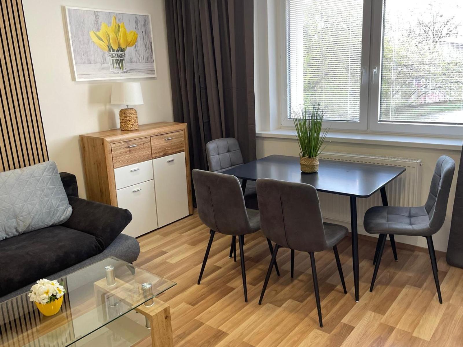 Apartment Aparthotel Praha Prag